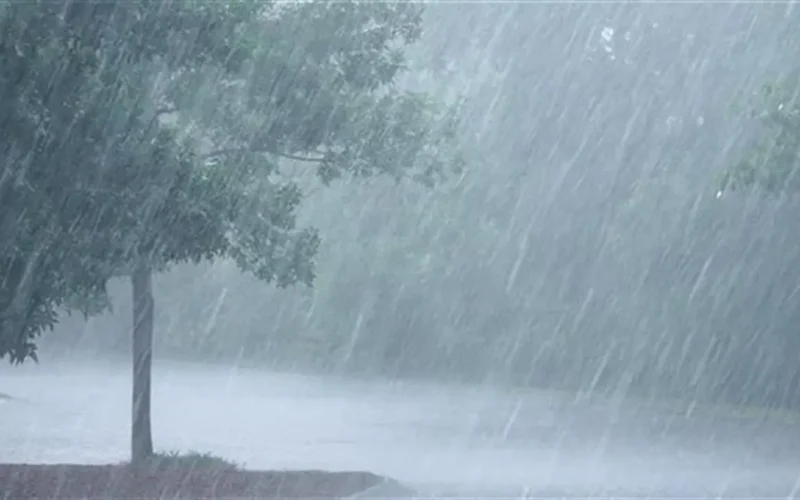 أمطار ورياح مثيرة للأتربة تضرب مناطق واسعة بداية من يوم الثلاثاء